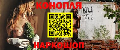 винт Новозыбков