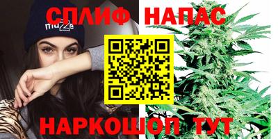 винт Новозыбков