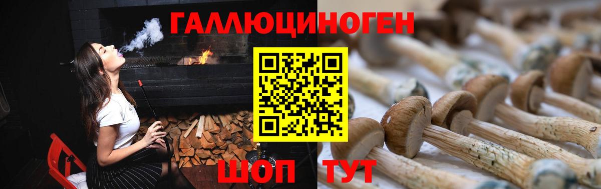Галлюциногенные грибы Psilocybe  Вход с VPN  Элиста 
